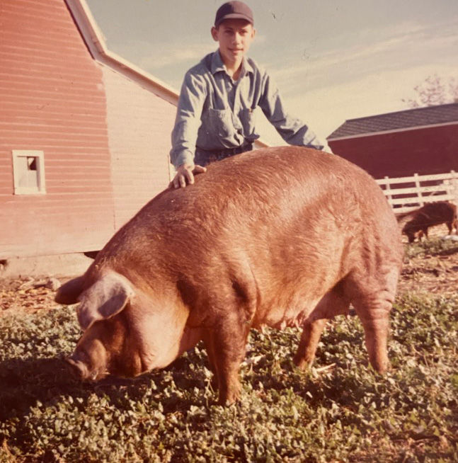 Frerich’s Duroc hog
